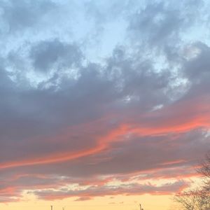 Meet your Posher, Dajha